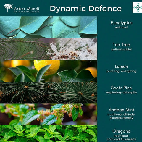 Arbor Mundi Dynamic Defence Essential Oil