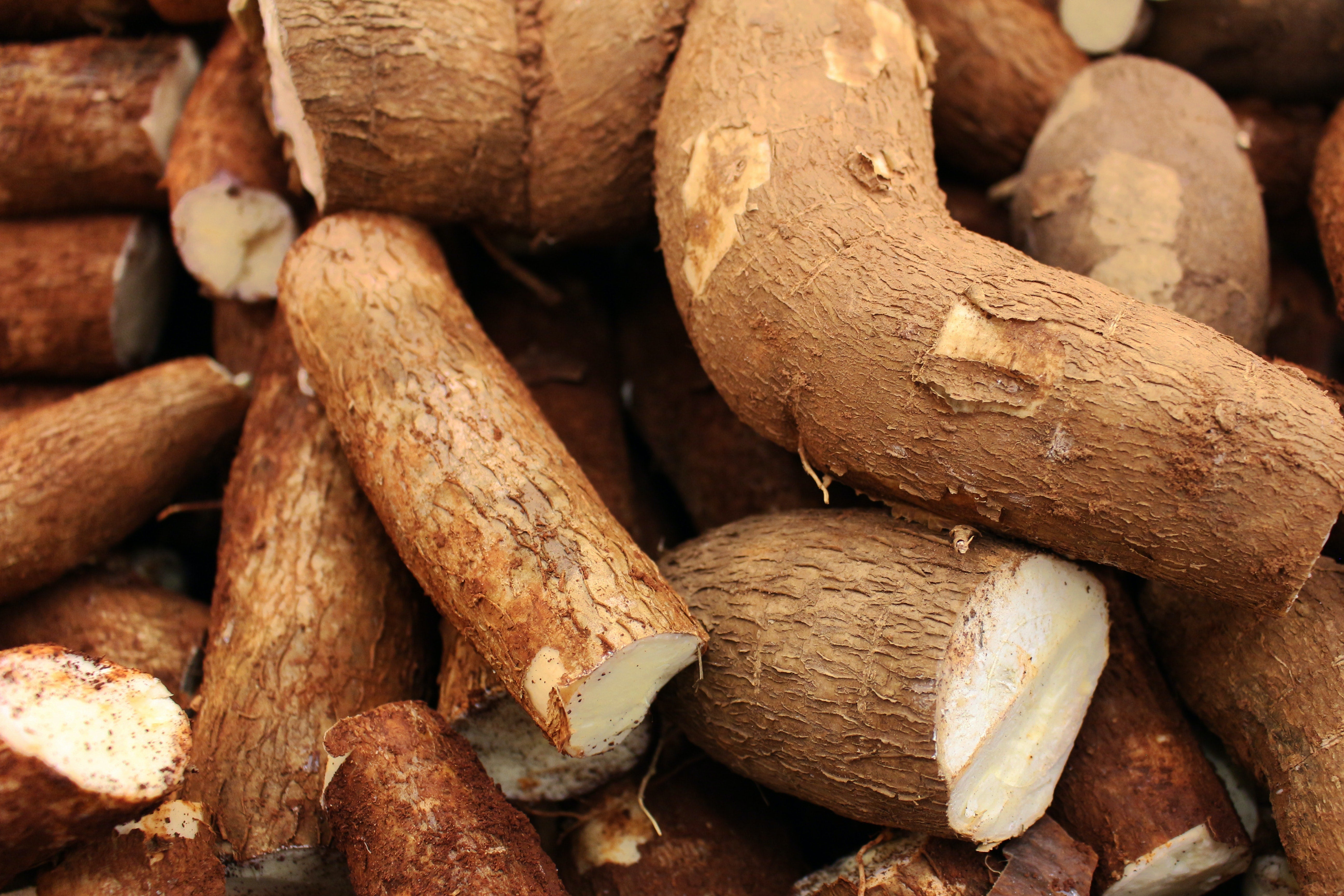 Arrowroot Powder - Hair and Skin Benefits - Beauty Products