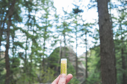 Lemongrass 3-Pack Lip Balm with Beeswax