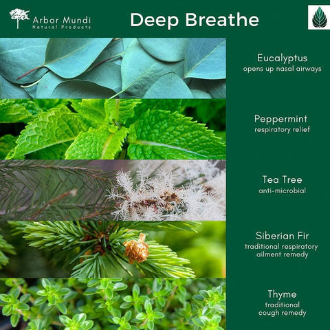Essential Oil for Breathing