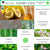 Arbor Mundi Garden Glow Herbal Radiance Serum